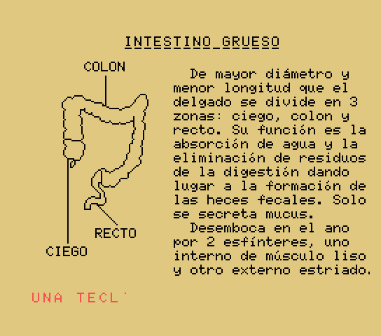 El Cuerpo humano: Sistema digestivo